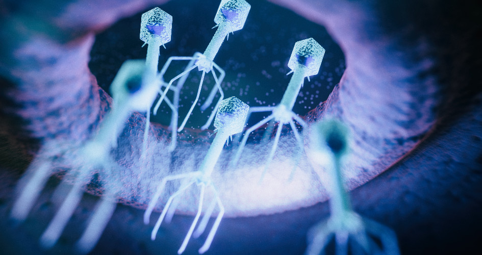 Lorem ipsum dolor sit amet, consectetur adipiscing elit. Etiam imperdiet vel ipsum ut dictum