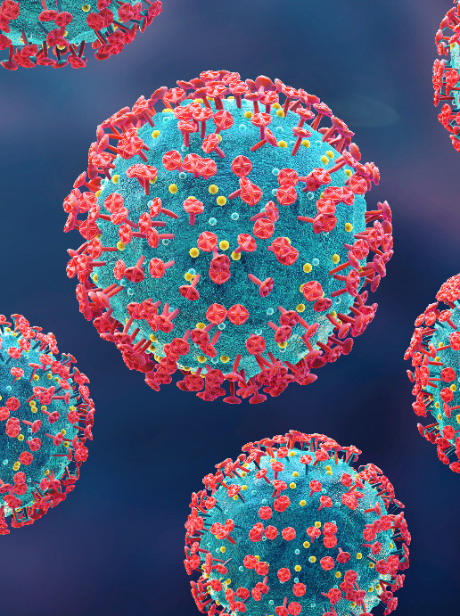 Lorem ipsum dolor sit amet, consectetur adipiscing elit. Etiam imperdiet vel ipsum ut dictum