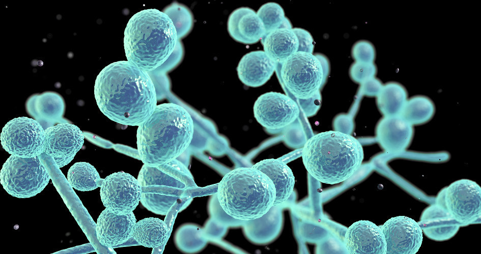 Copy of Lorem ipsum dolor sit amet, consectetur adipiscing elit. Etiam imperdiet vel ipsum ut dictum