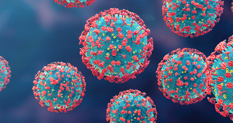 Lorem ipsum dolor sit amet, consectetur adipiscing elit. Etiam imperdiet vel ipsum ut dictum