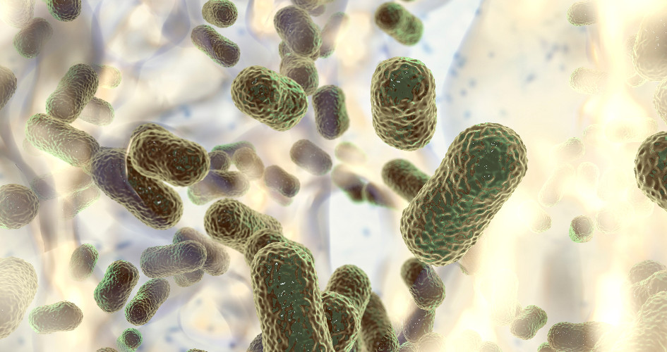 Lorem ipsum dolor sit amet, consectetur adipiscing elit. Etiam imperdiet vel ipsum ut dictum