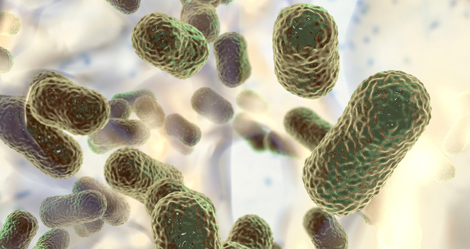 Lorem ipsum dolor sit amet, consectetur adipiscing elit. Etiam imperdiet vel ipsum ut dictum